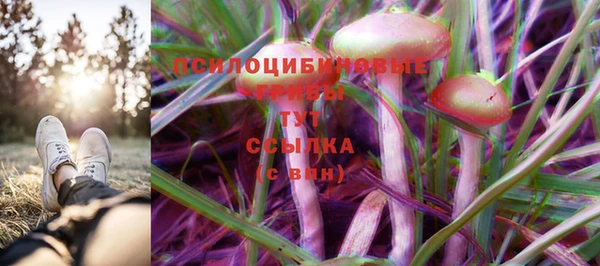 прущий лед Алексеевка